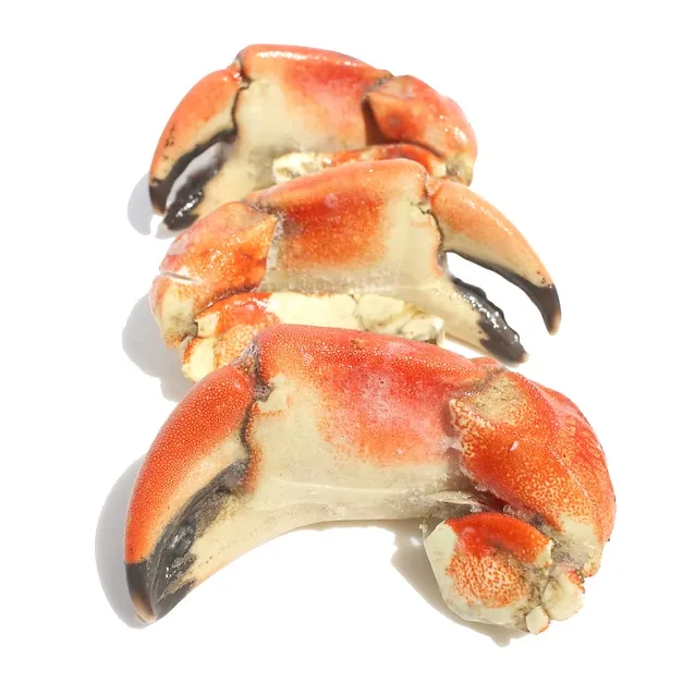 Stone crab claws
