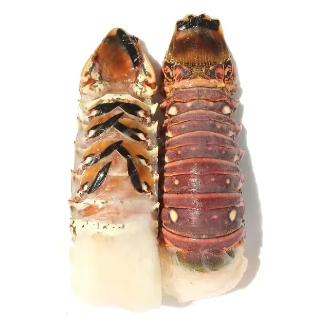 Lobster tails