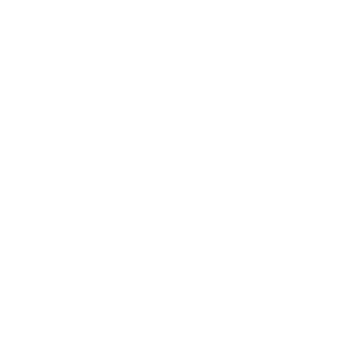 Parmon Products